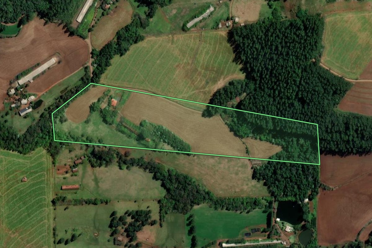 Imagem de satélite do imóvel rural em Palmitos (SC), com o contorno declarado no CAR desenhado por cima.