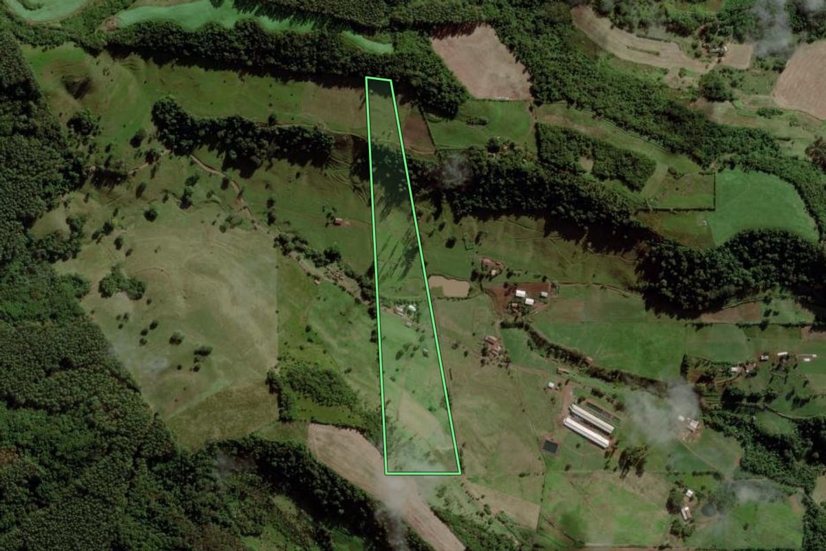 Imagem de satélite do imóvel rural em Palmitos (SC), com o contorno declarado no CAR desenhado por cima.