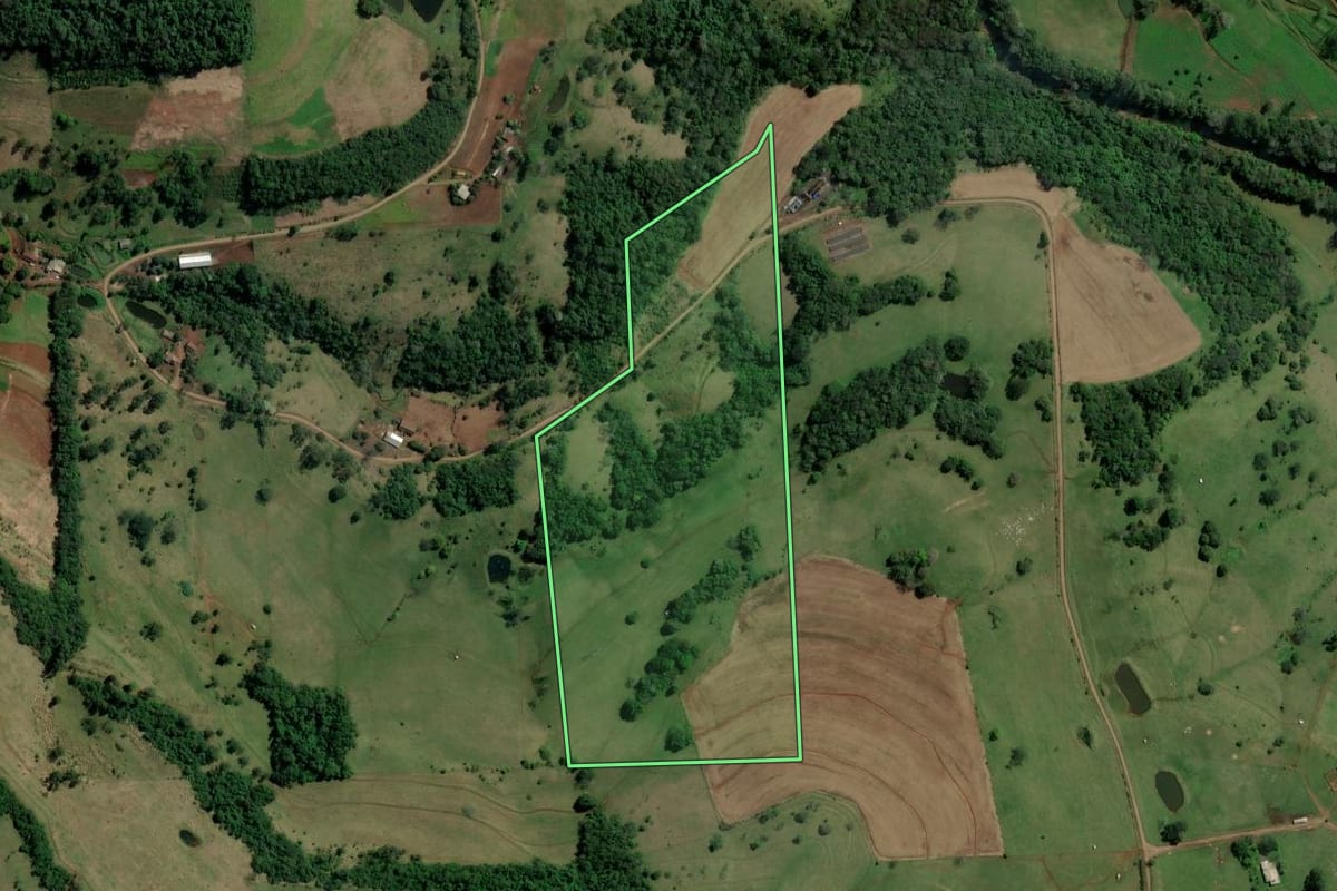 Imagem de satélite do imóvel rural em Palmitos (SC), com o contorno declarado no CAR desenhado por cima.