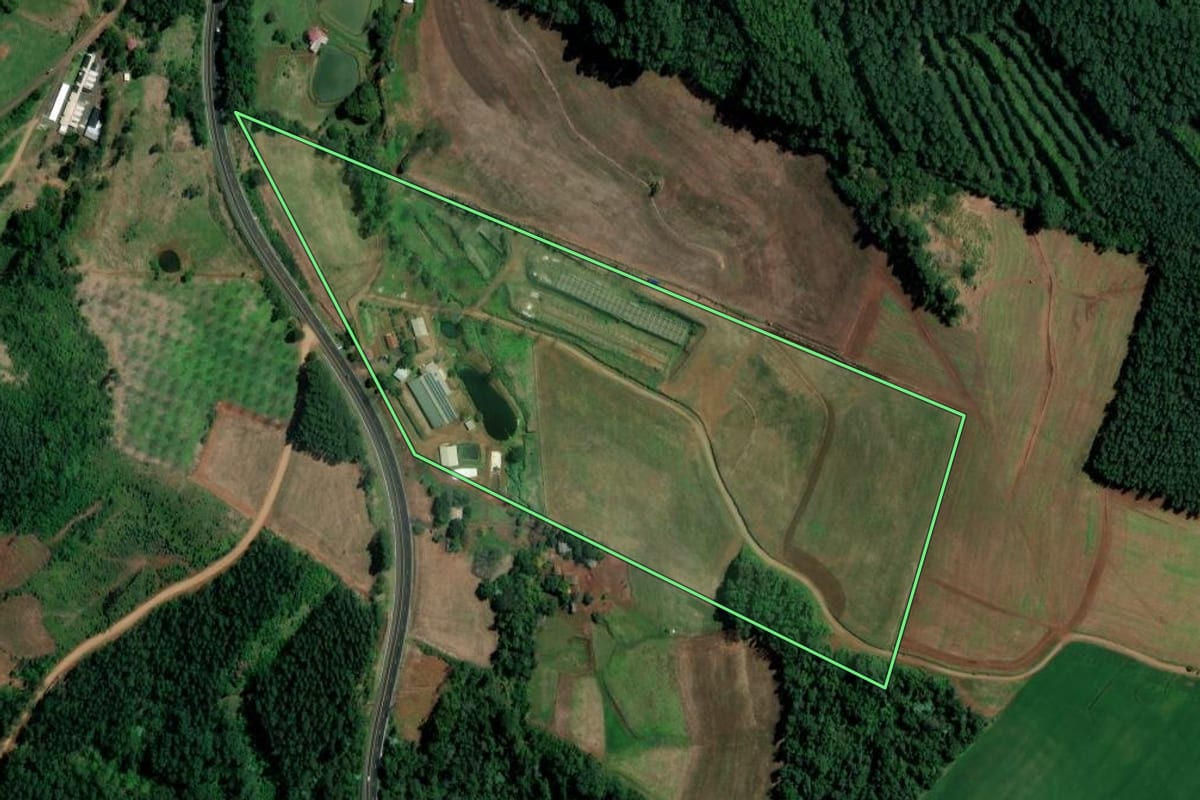 Imagem de satélite do imóvel rural em Palmitos (SC), com o contorno declarado no CAR desenhado por cima.