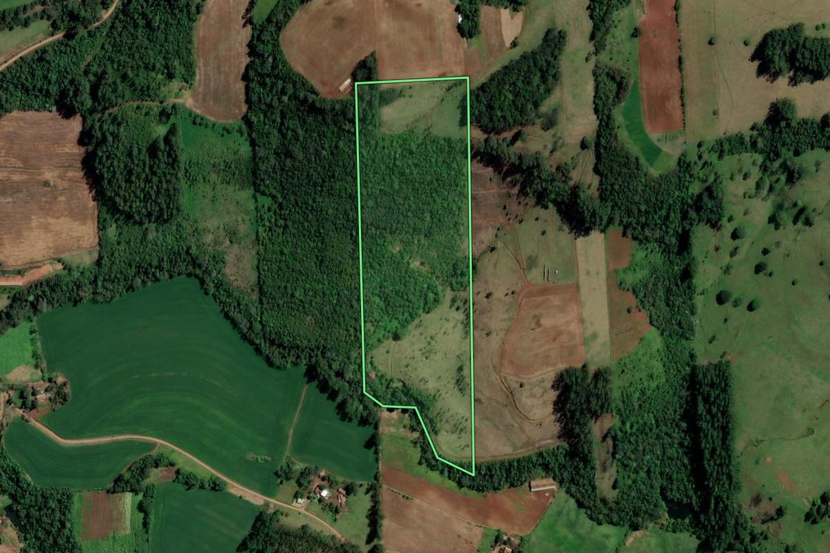 Imagem de satélite do imóvel rural em Palmitos (SC), com o contorno declarado no CAR desenhado por cima.