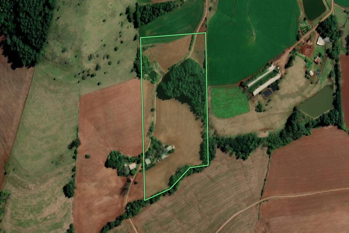 Imagem de satélite do imóvel rural em Palmitos (SC), com o contorno declarado no CAR desenhado por cima.