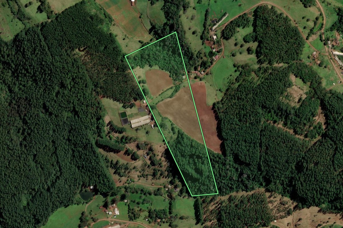 Imagem de satélite do imóvel rural em Palmitos (SC), com o contorno declarado no CAR desenhado por cima.