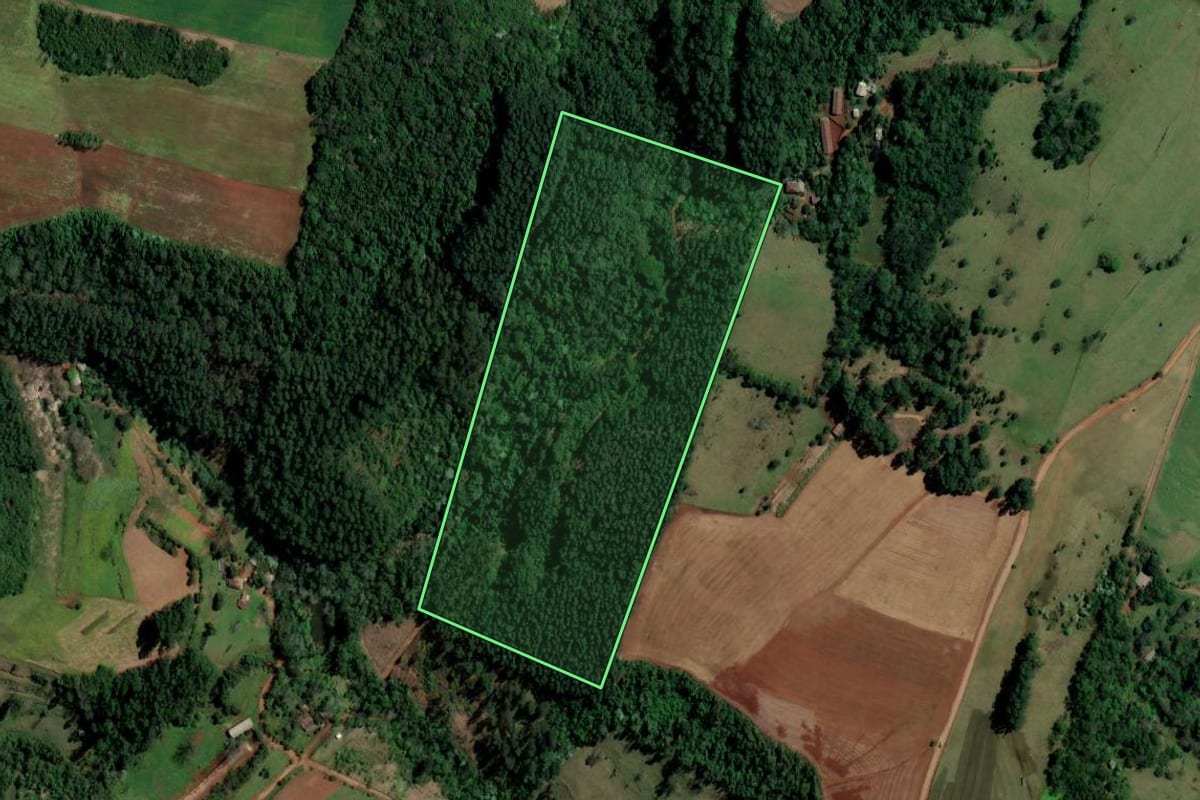 Imagem de satélite do imóvel rural em Palmitos (SC), com o contorno declarado no CAR desenhado por cima.