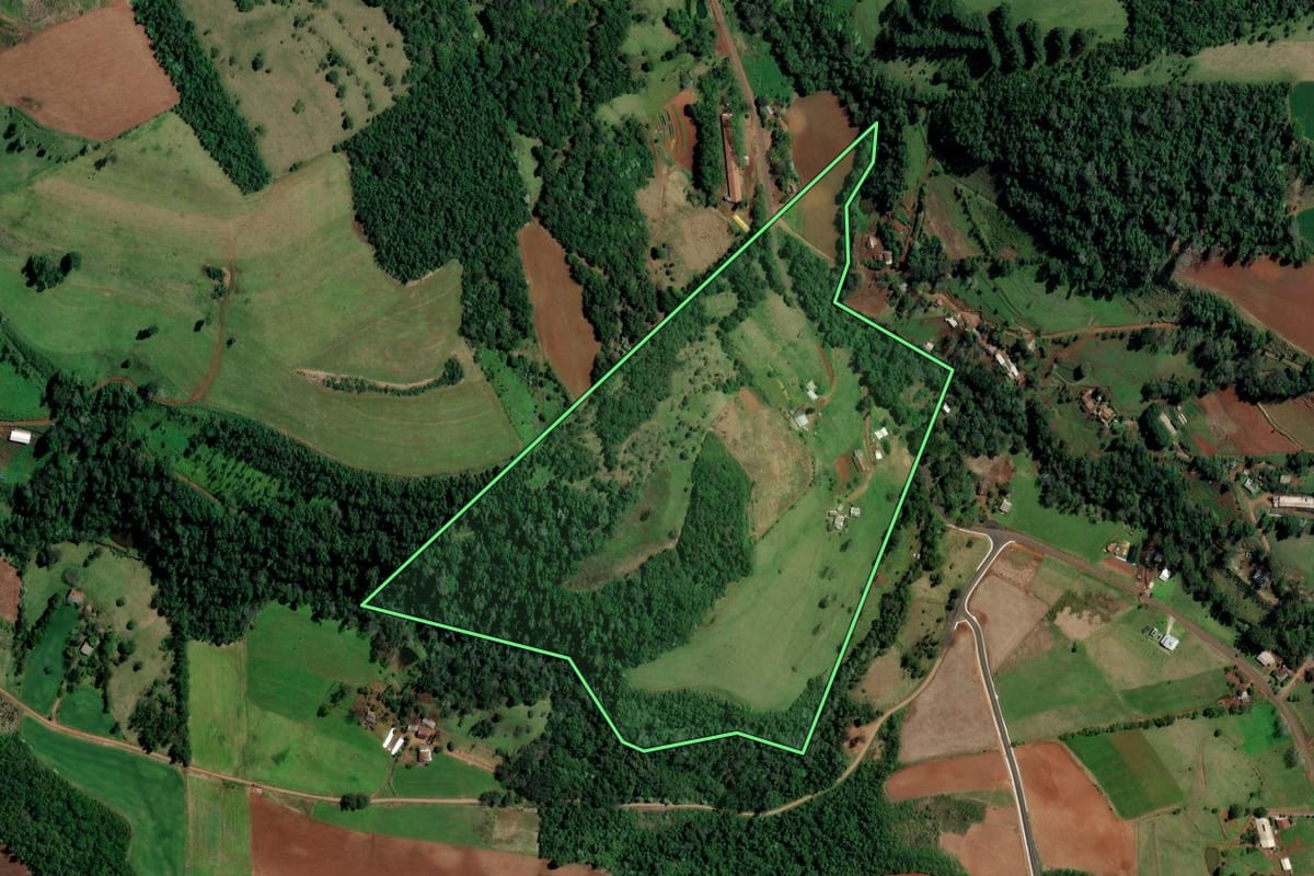 Imagem de satélite do imóvel rural em Palmitos (SC), com o contorno declarado no CAR desenhado por cima.