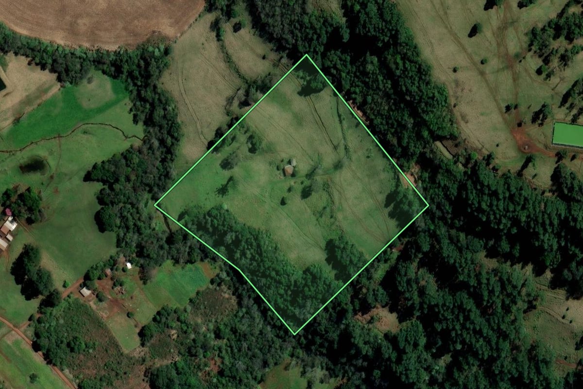 Imagem de satélite do imóvel rural em Palmitos (SC), com o contorno declarado no CAR desenhado por cima.
