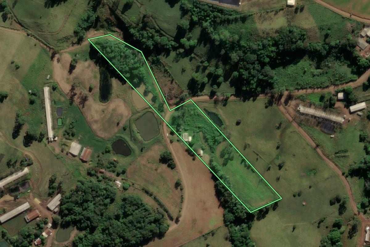 Imagem de satélite do imóvel rural em Palmitos (SC), com o contorno declarado no CAR desenhado por cima.
