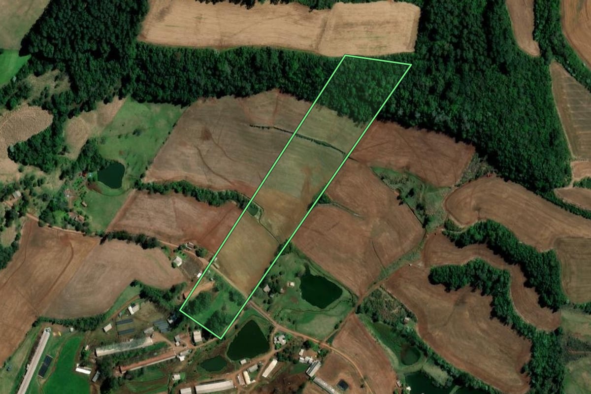 Imagem de satélite do imóvel rural em Palmitos (SC), com o contorno declarado no CAR desenhado por cima.