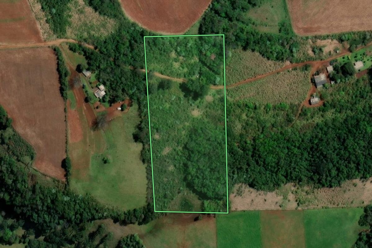 Imagem de satélite do imóvel rural em Palmitos (SC), com o contorno declarado no CAR desenhado por cima.