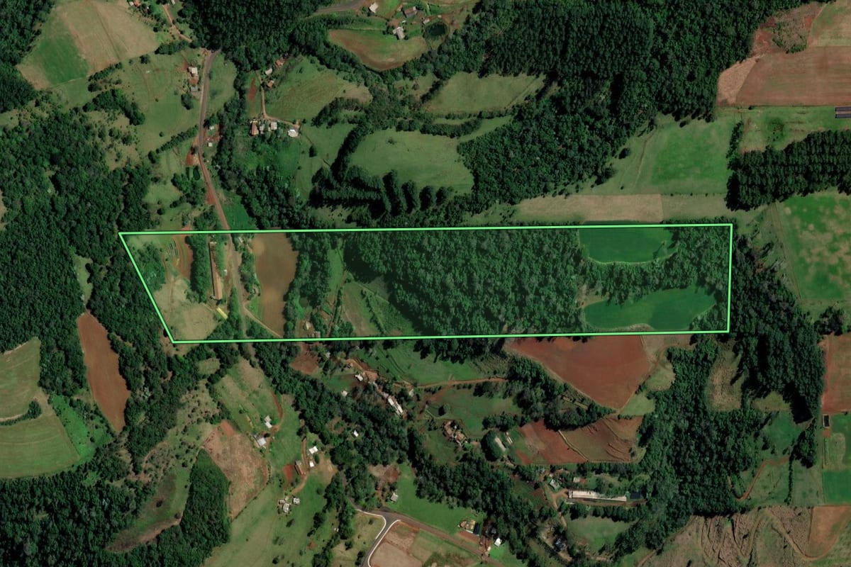 Imagem de satélite do imóvel rural em Palmitos (SC), com o contorno declarado no CAR desenhado por cima.
