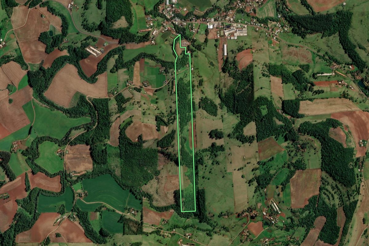 Imagem de satélite do imóvel rural em Palmitos (SC), com o contorno declarado no CAR desenhado por cima.