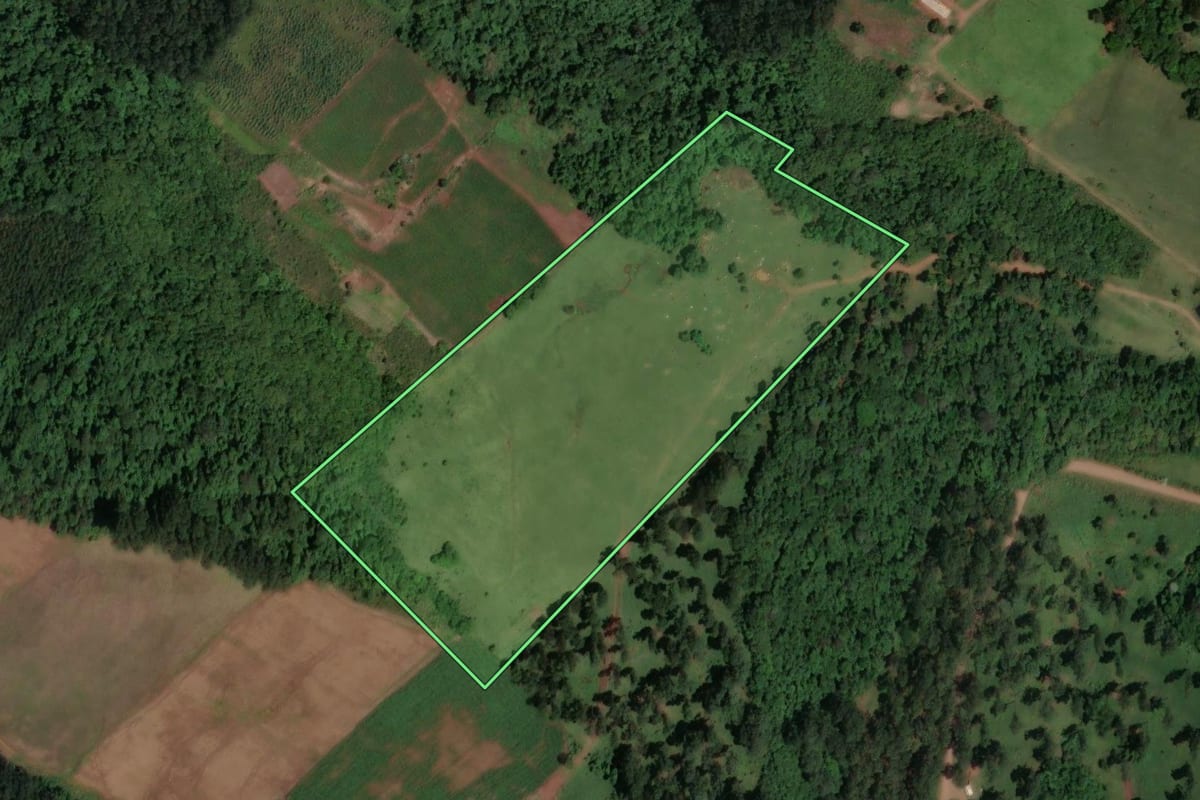 Imagem de satélite do imóvel rural em Palmitos (SC), com o contorno declarado no CAR desenhado por cima.