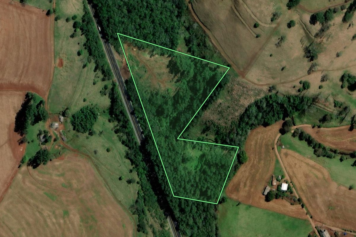 Imagem de satélite do imóvel rural em Palmitos (SC), com o contorno declarado no CAR desenhado por cima.