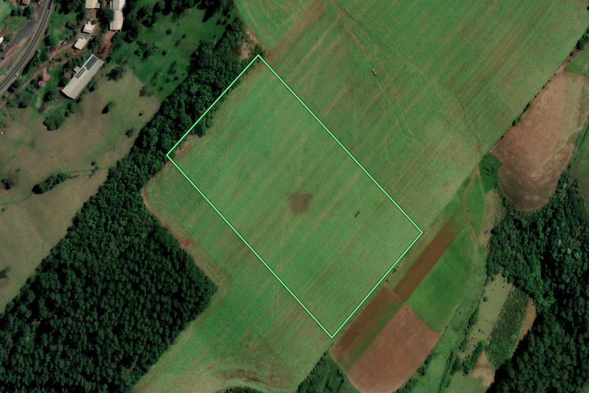 Imagem de satélite do imóvel rural em Palmitos (SC), com o contorno declarado no CAR desenhado por cima.