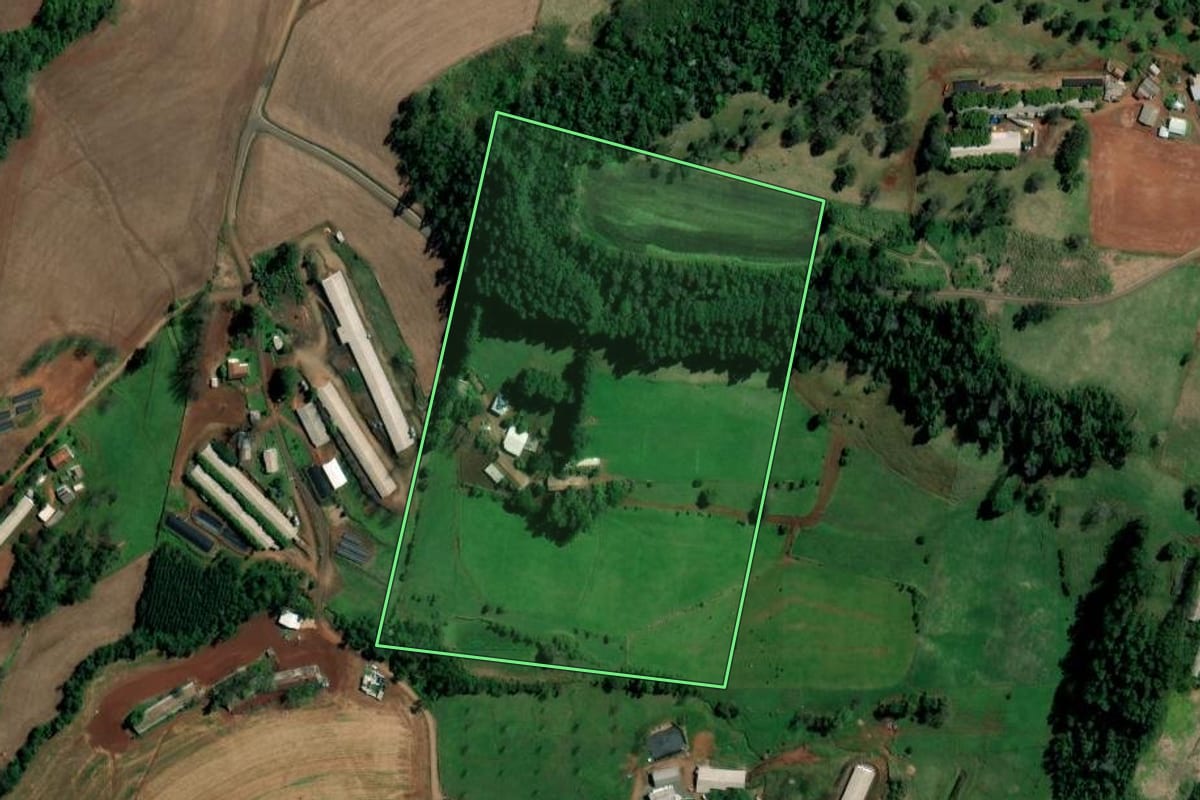 Imagem de satélite do imóvel rural em Palmitos (SC), com o contorno declarado no CAR desenhado por cima.