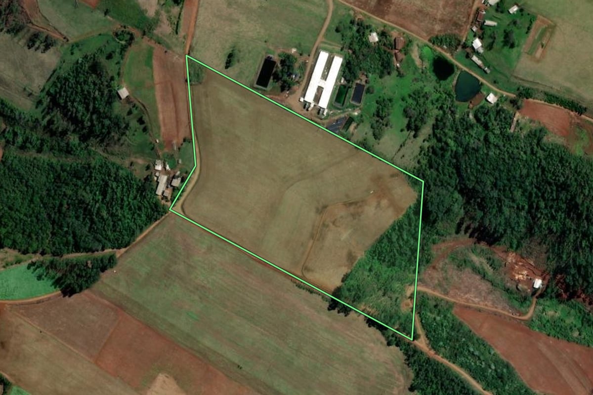Imagem de satélite do imóvel rural em Palmitos (SC), com o contorno declarado no CAR desenhado por cima.