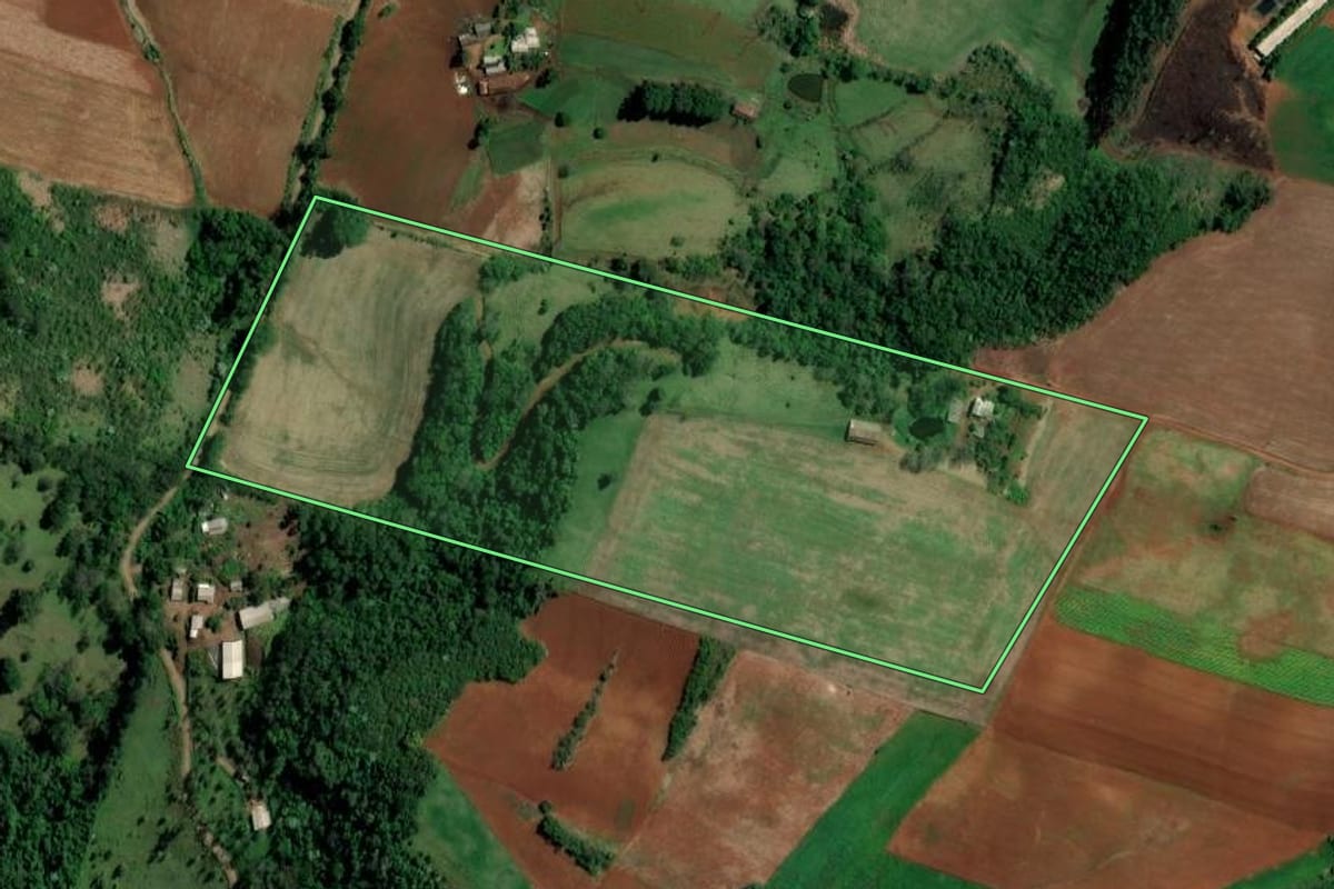 Imagem de satélite do imóvel rural em Palmitos (SC), com o contorno declarado no CAR desenhado por cima.
