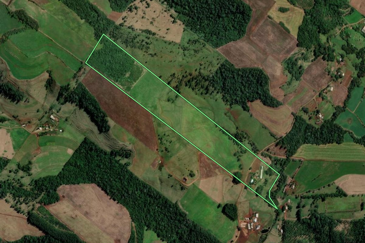 Imagem de satélite do imóvel rural em Palmitos (SC), com o contorno declarado no CAR desenhado por cima.