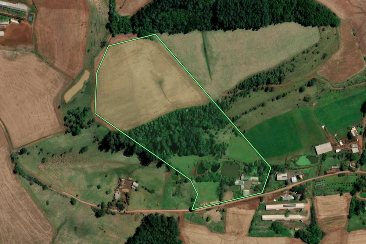 Imagem de satélite do imóvel rural em Palmitos (SC), com o contorno declarado no CAR desenhado por cima.