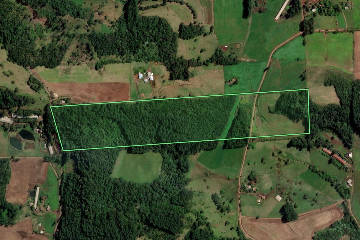 Imagem de satélite do imóvel rural em Palmitos (SC), com o contorno declarado no CAR desenhado por cima.