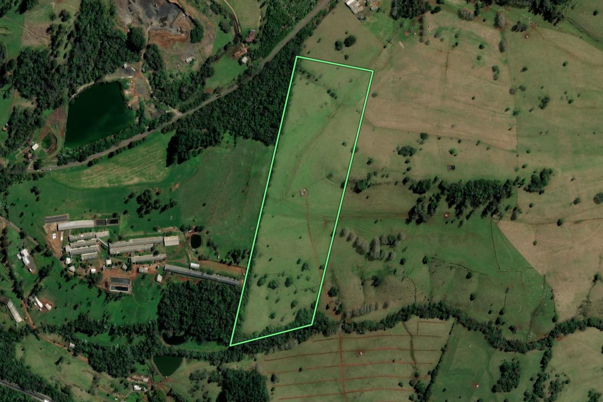 Imagem de satélite do imóvel rural em Palmitos (SC), com o contorno declarado no CAR desenhado por cima.