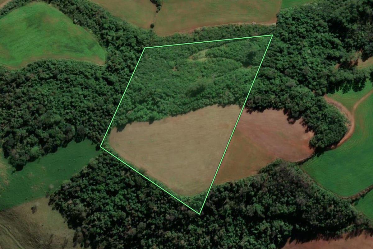 Imagem de satélite do imóvel rural em Palmitos (SC), com o contorno declarado no CAR desenhado por cima.