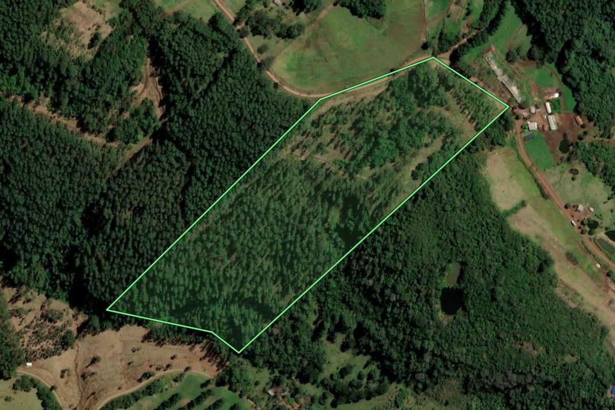 Imagem de satélite do imóvel rural em Palmitos (SC), com o contorno declarado no CAR desenhado por cima.