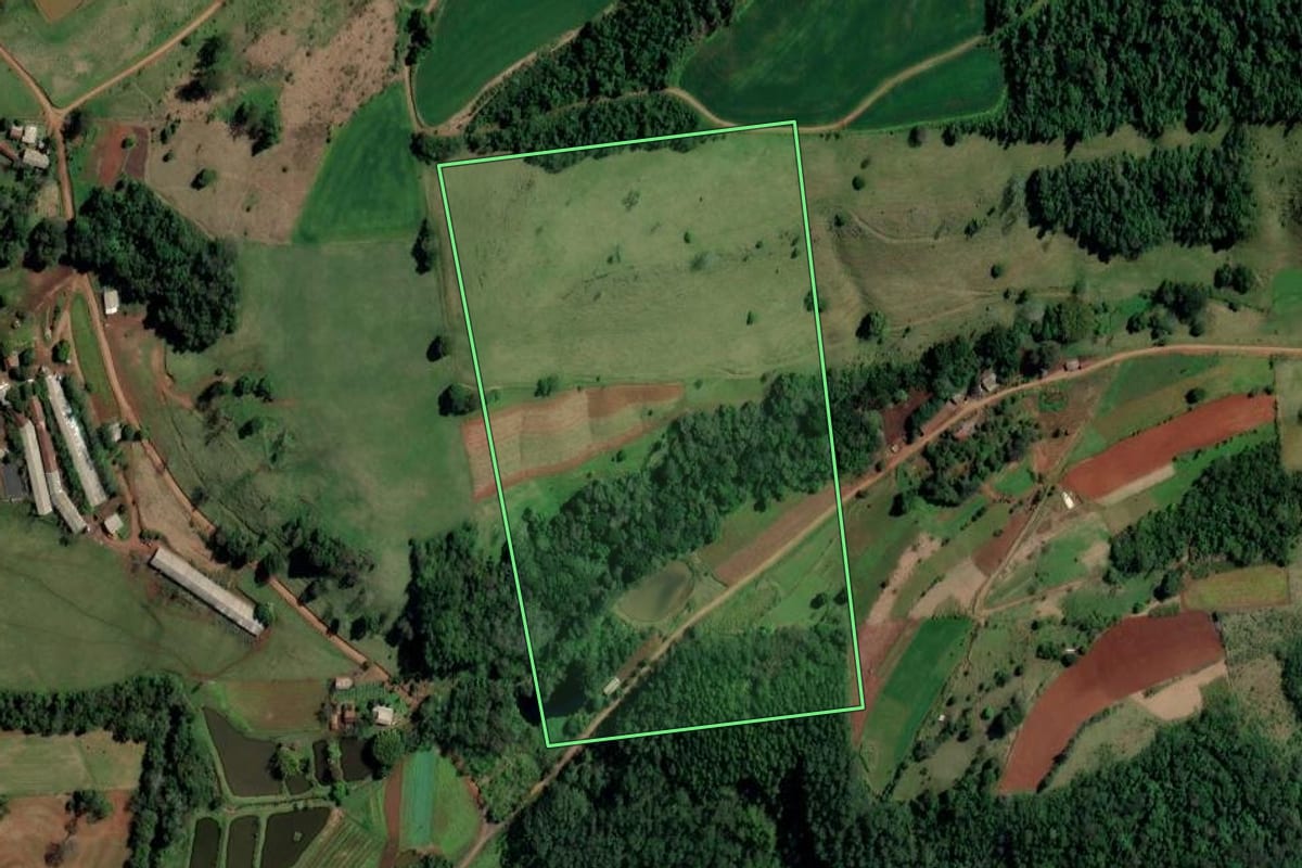 Imagem de satélite do imóvel rural em Palmitos (SC), com o contorno declarado no CAR desenhado por cima.