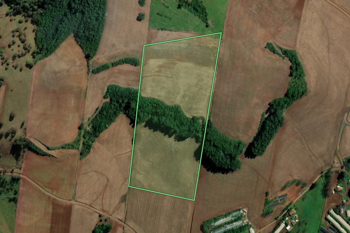 Imagem de satélite do imóvel rural em Palmitos (SC), com o contorno declarado no CAR desenhado por cima.