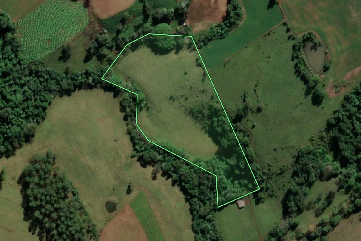 Imagem de satélite do imóvel rural em Palmitos (SC), com o contorno declarado no CAR desenhado por cima.