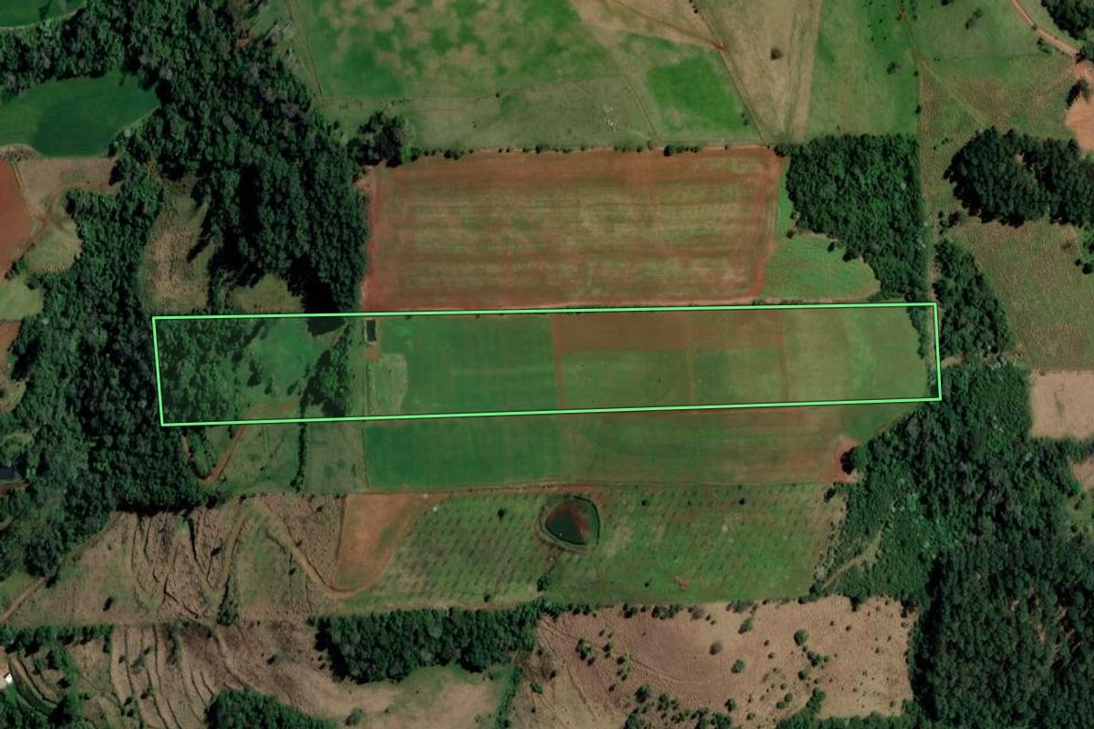 Imagem de satélite do imóvel rural em Palmitos (SC), com o contorno declarado no CAR desenhado por cima.