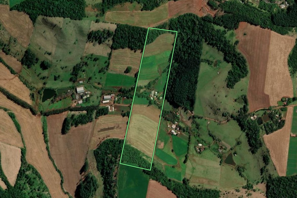 Imagem de satélite do imóvel rural em Palmitos (SC), com o contorno declarado no CAR desenhado por cima.