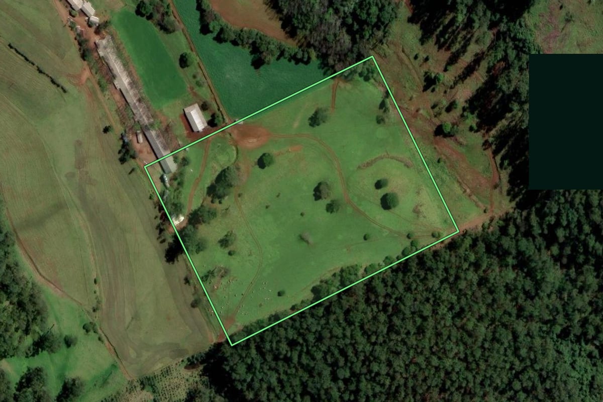 Imagem de satélite do imóvel rural em Palmitos (SC), com o contorno declarado no CAR desenhado por cima.