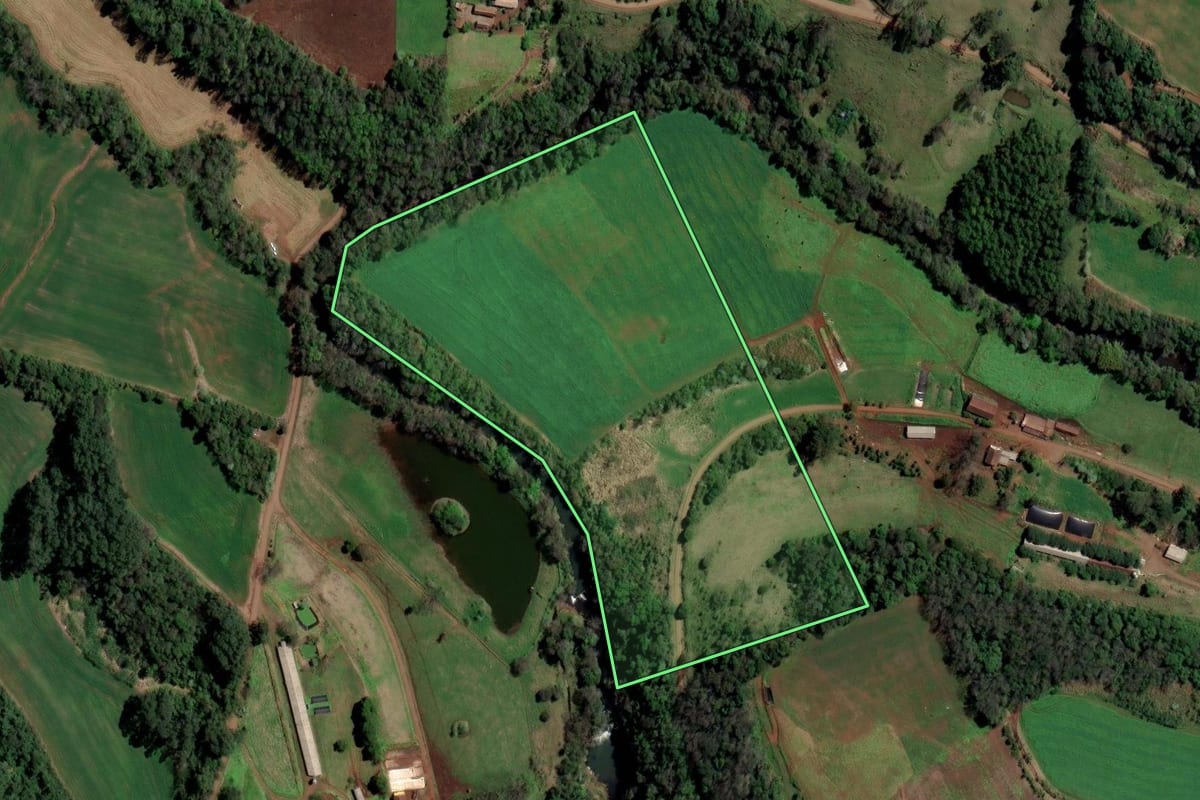 Imagem de satélite do imóvel rural em Palmitos (SC), com o contorno declarado no CAR desenhado por cima.
