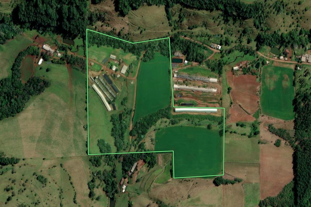 Imagem de satélite do imóvel rural em Palmitos (SC), com o contorno declarado no CAR desenhado por cima.