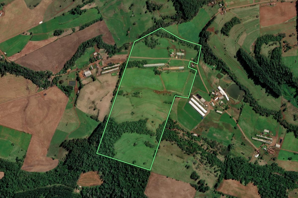 Imagem de satélite do imóvel rural em Palmitos (SC), com o contorno declarado no CAR desenhado por cima.