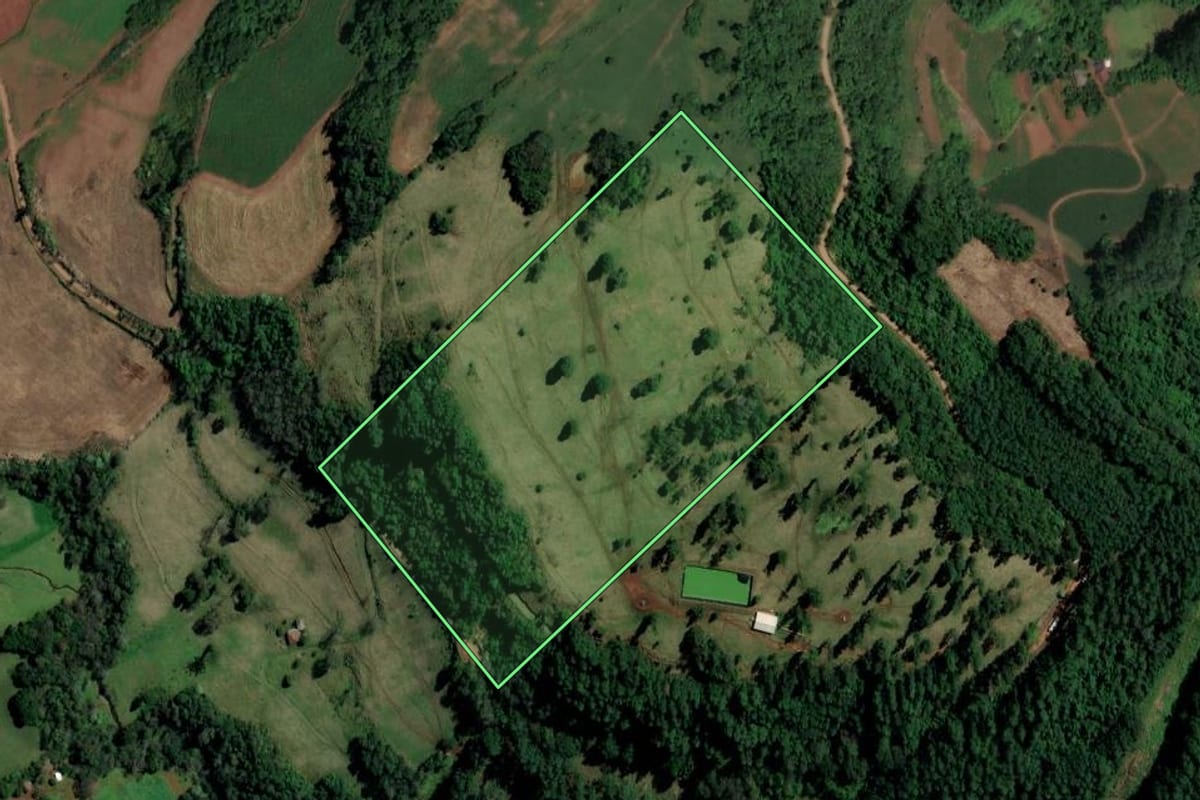 Imagem de satélite do imóvel rural em Palmitos (SC), com o contorno declarado no CAR desenhado por cima.