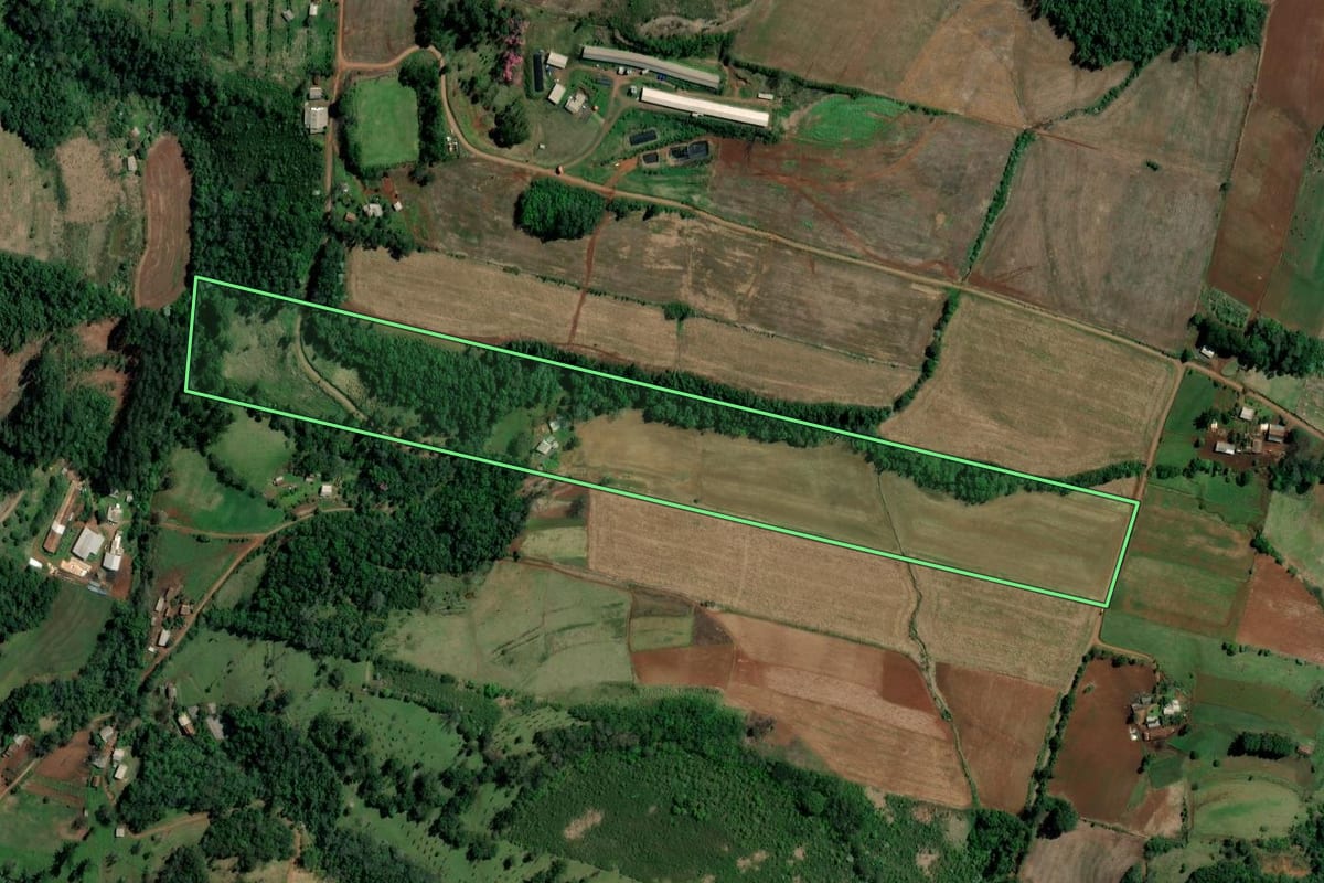 Imagem de satélite do imóvel rural em Palmitos (SC), com o contorno declarado no CAR desenhado por cima.