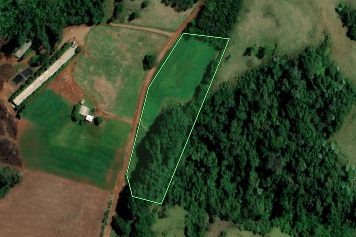 Imagem de satélite do imóvel rural em Palmitos (SC), com o contorno declarado no CAR desenhado por cima.