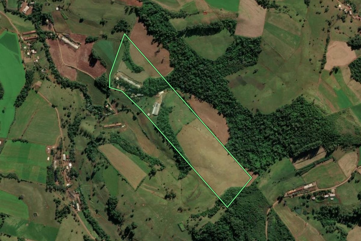 Imagem de satélite do imóvel rural em Palmitos (SC), com o contorno declarado no CAR desenhado por cima.