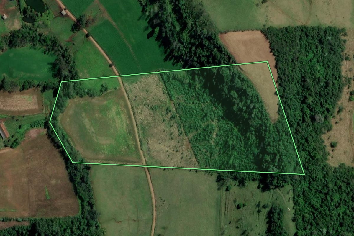 Imagem de satélite do imóvel rural em Palmitos (SC), com o contorno declarado no CAR desenhado por cima.