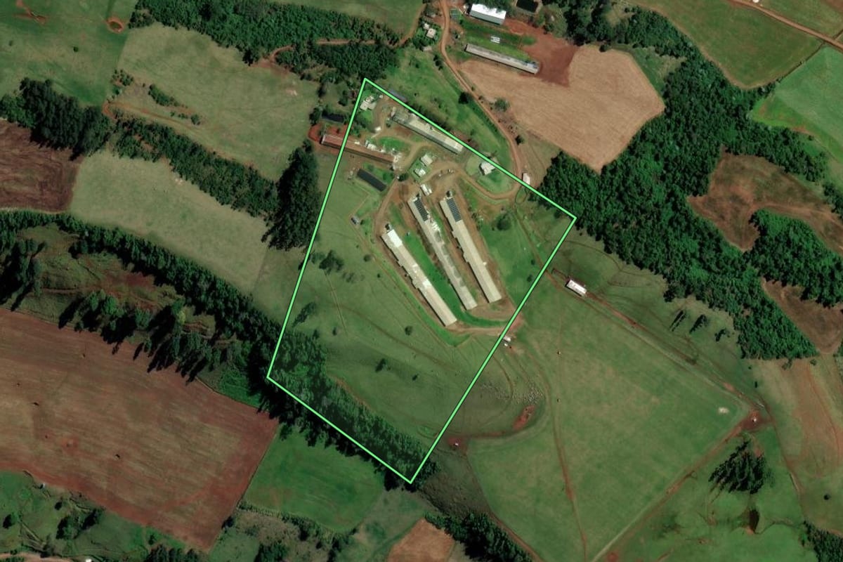 Imagem de satélite do imóvel rural em Palmitos (SC), com o contorno declarado no CAR desenhado por cima.