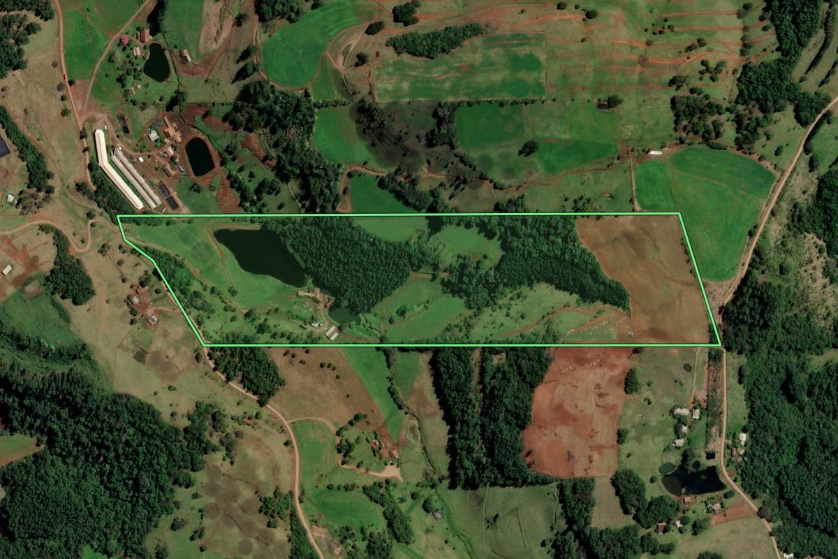 Imagem de satélite do imóvel rural em Palmitos (SC), com o contorno declarado no CAR desenhado por cima.