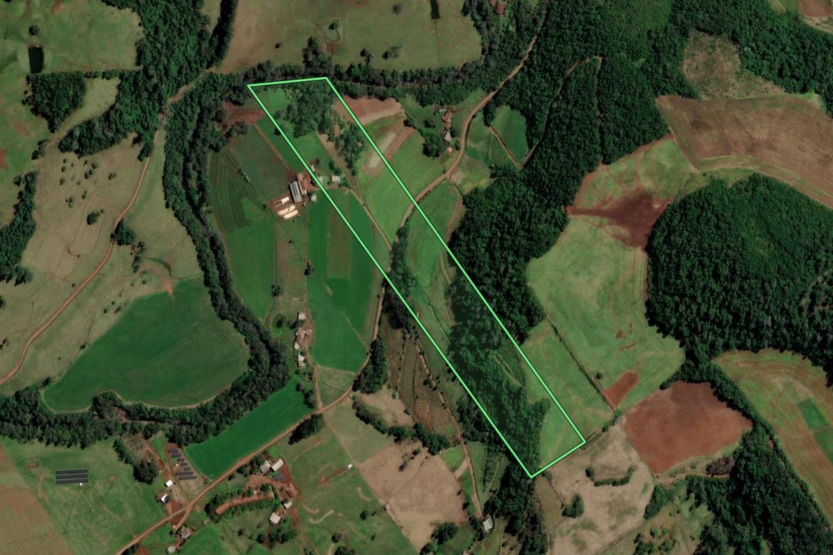 Imagem de satélite do imóvel rural em Palmitos (SC), com o contorno declarado no CAR desenhado por cima.