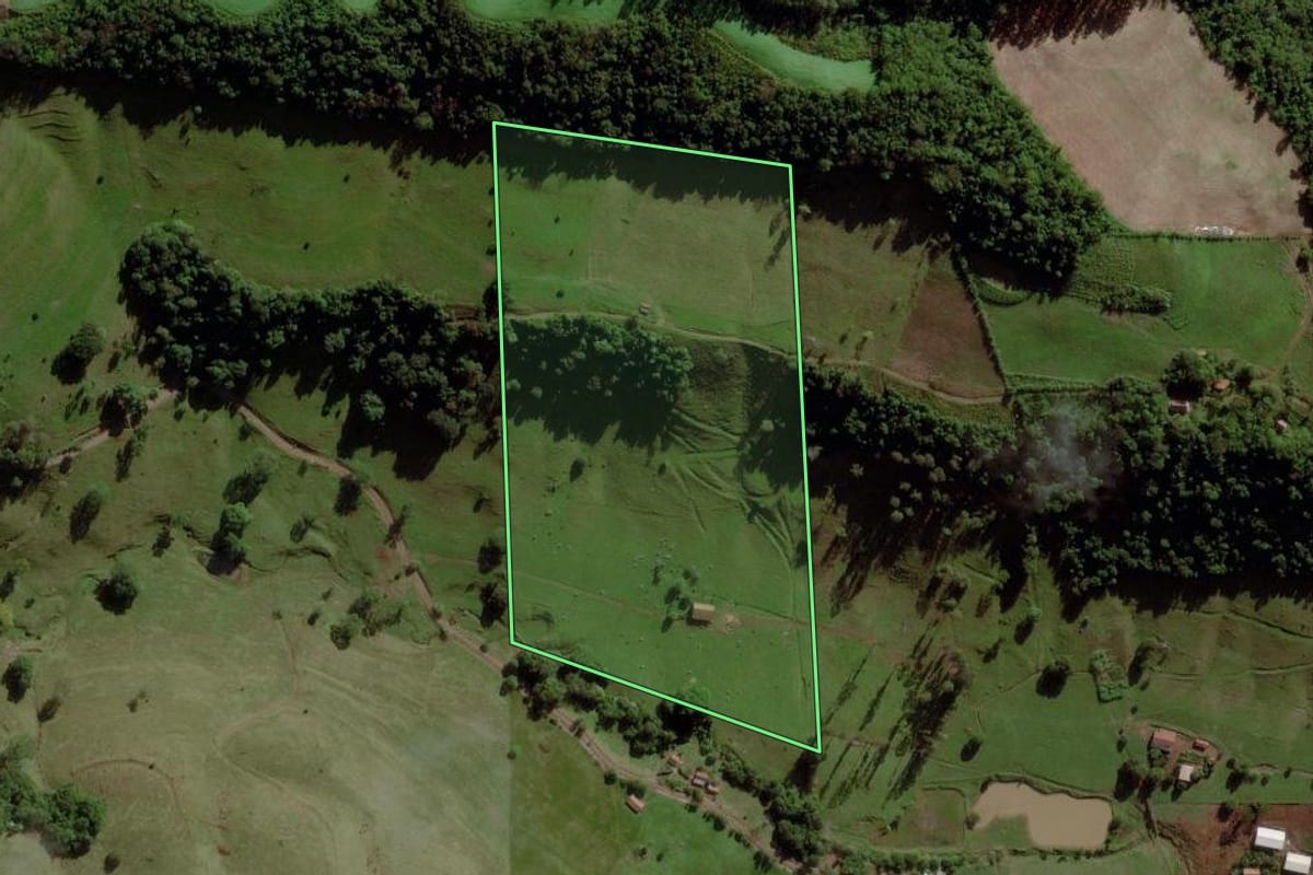 Imagem de satélite do imóvel rural em Palmitos (SC), com o contorno declarado no CAR desenhado por cima.