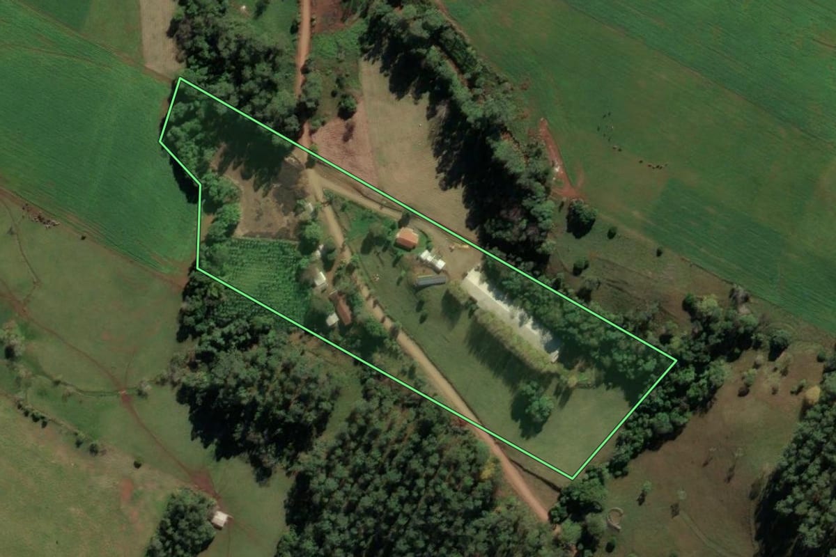 Imagem de satélite do imóvel rural em Palmitos (SC), com o contorno declarado no CAR desenhado por cima.