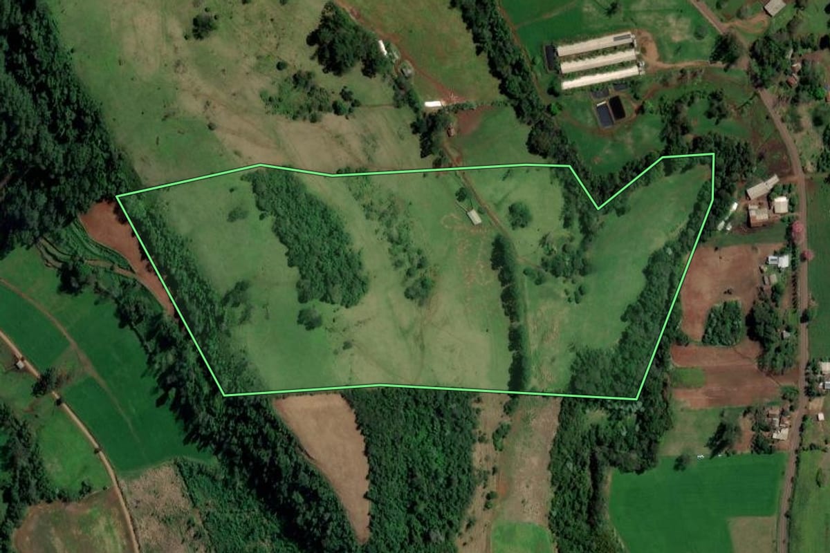 Imagem de satélite do imóvel rural em Palmitos (SC), com o contorno declarado no CAR desenhado por cima.