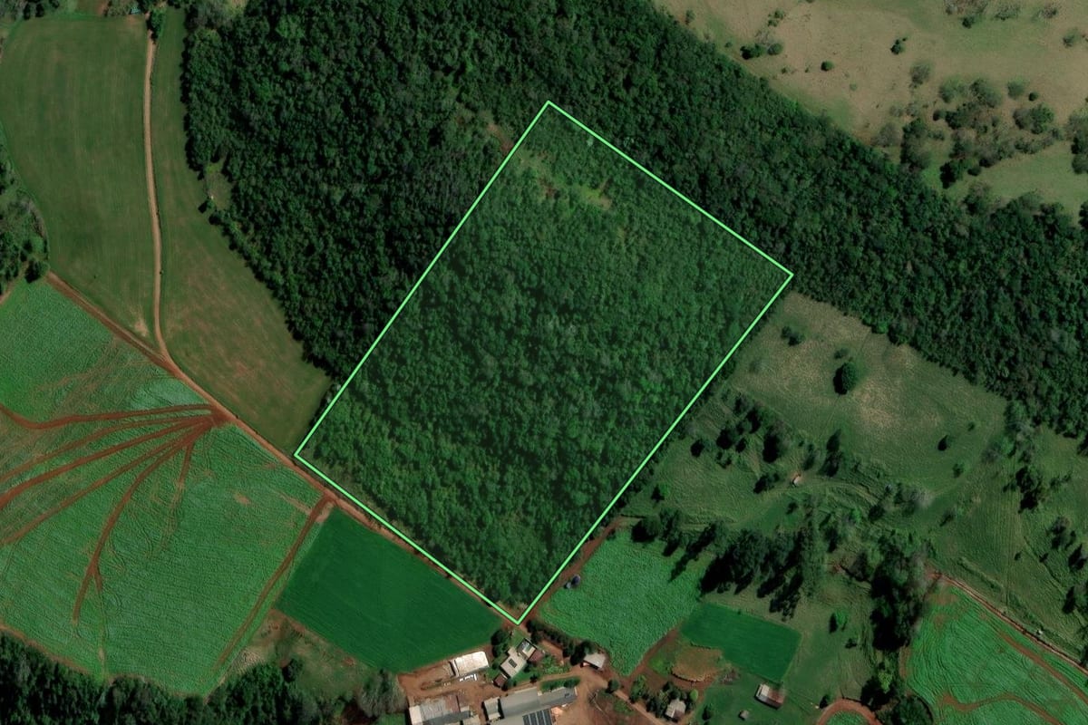 Imagem de satélite do imóvel rural em Palmitos (SC), com o contorno declarado no CAR desenhado por cima.