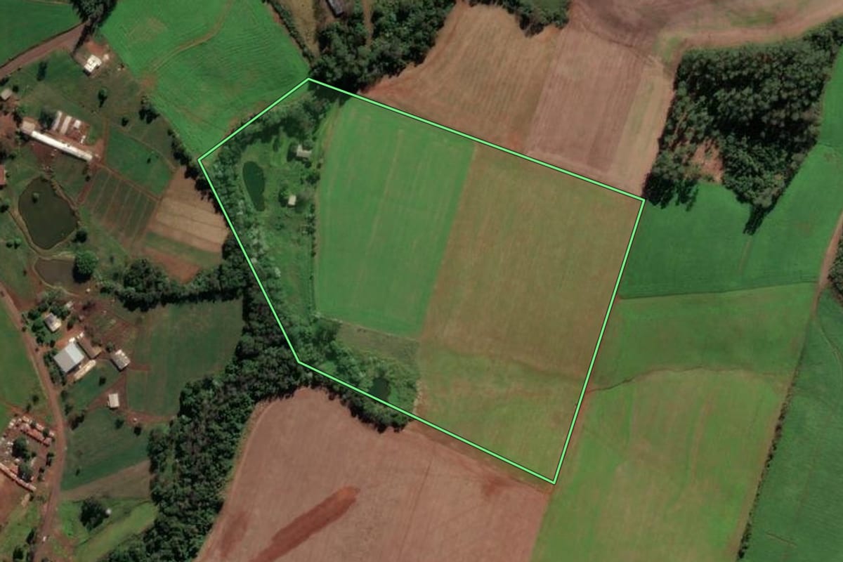 Imagem de satélite do imóvel rural em Palmitos (SC), com o contorno declarado no CAR desenhado por cima.