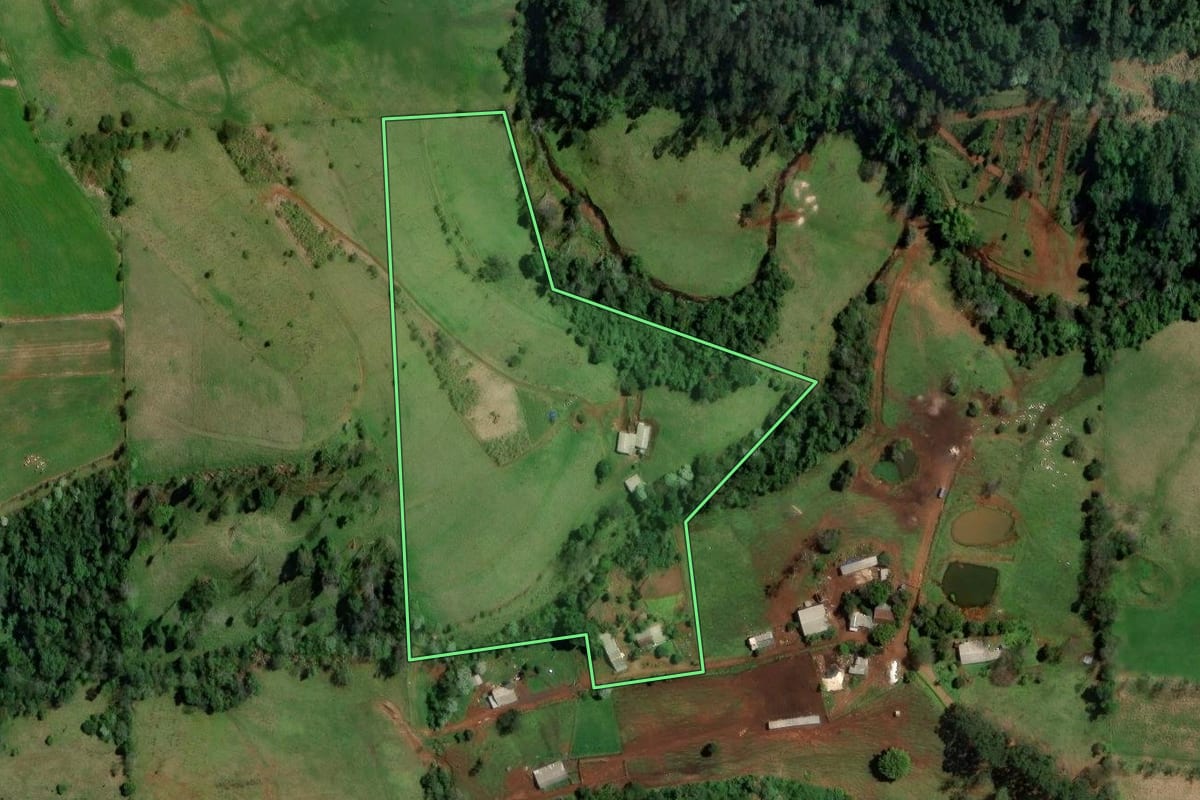 Imagem de satélite do imóvel rural em Palmitos (SC), com o contorno declarado no CAR desenhado por cima.